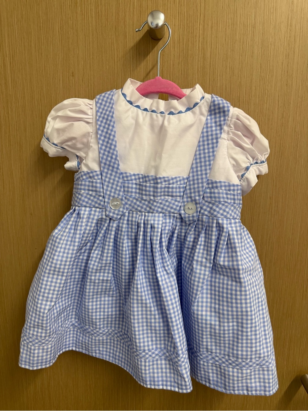 Dorothy Costume 2T